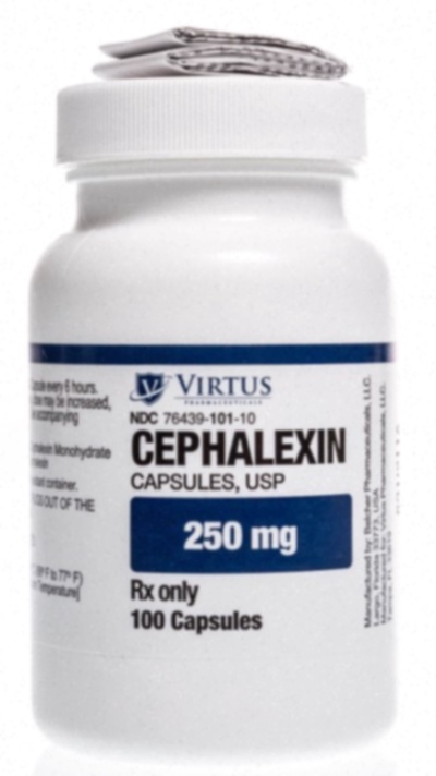 cephalexin